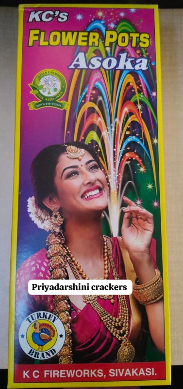 Product image of FLOWER POT ASHOKA